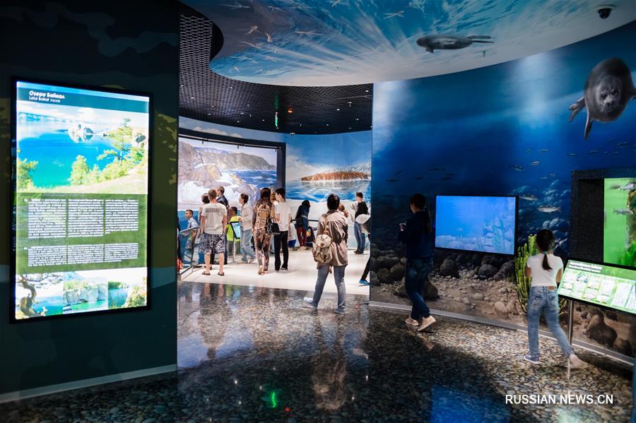 День акул во Владивостоке