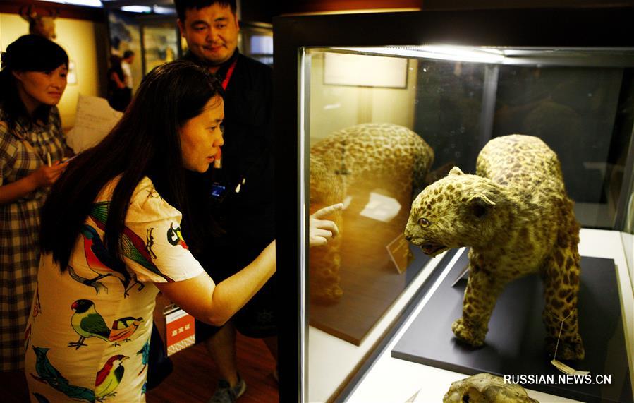 Три музея организовали совместную выставку о возникновении музейного дела в Шанхае