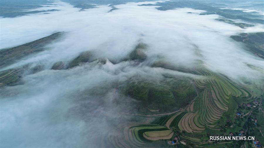 Море облаков над полями-террасами в Нинся-Хуэйском АР