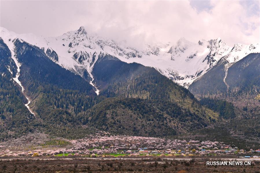 Цинхай-Тибетское нагорье осталось одним из самых чистых районов на Земле -- Белая книга