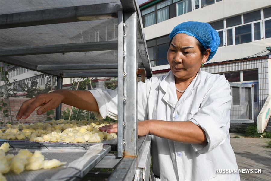 Секреты производства молочной продукции в АР Внутренняя Монголия