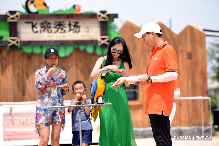 Фестиваль мира океана в провинции Шаньдун