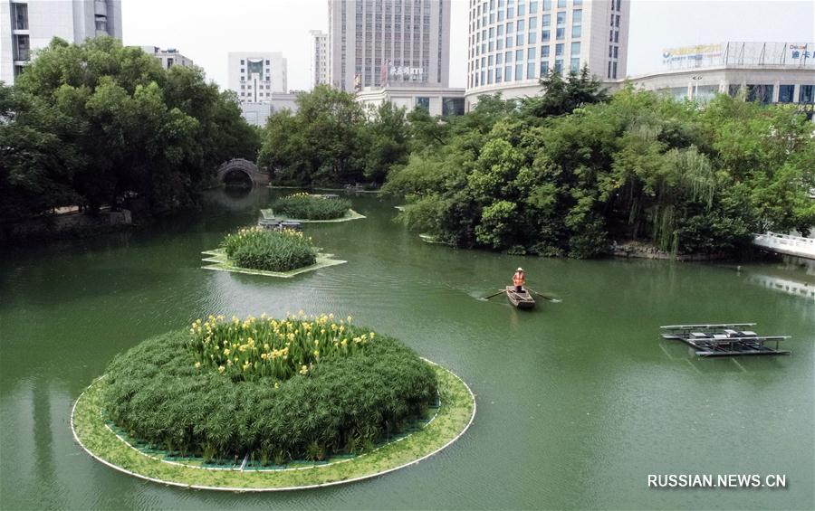 "Плавучие эко-островки" украсили города в Китае