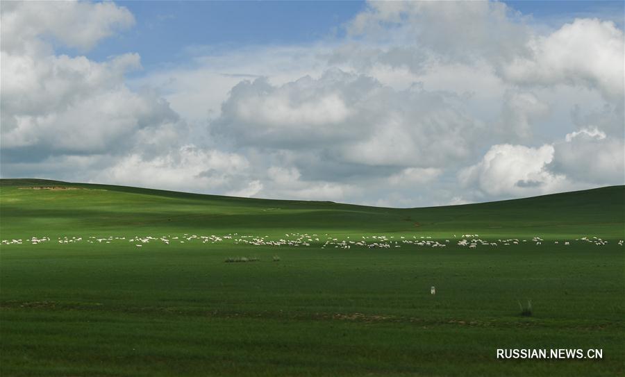 Прекрасные пейзажи степей Внутренней Монголии