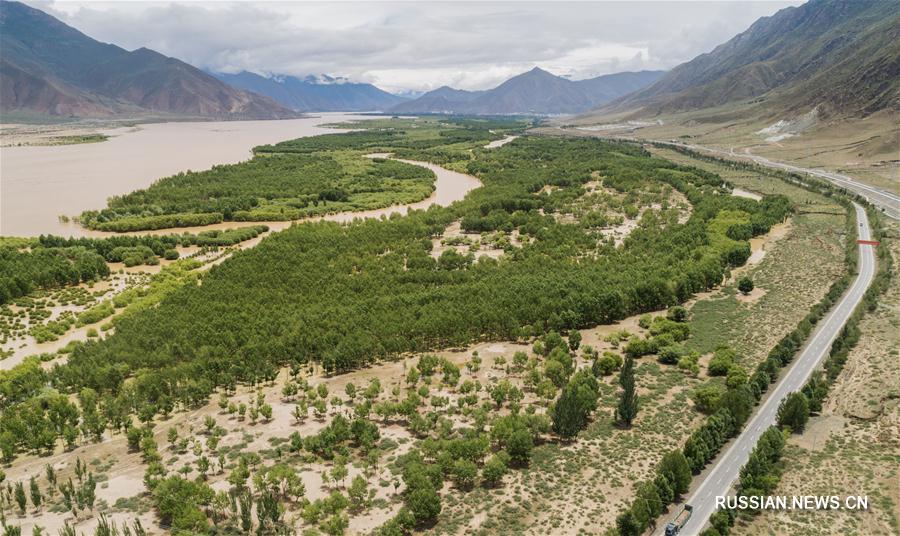 Борьба с опустыниванием в округе Лхокха в Тибетском АР приносит свои плоды