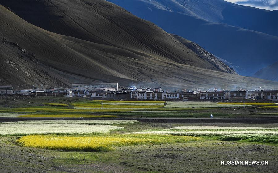 Пейзажи городского округа Шигадзе в Тибетском АР