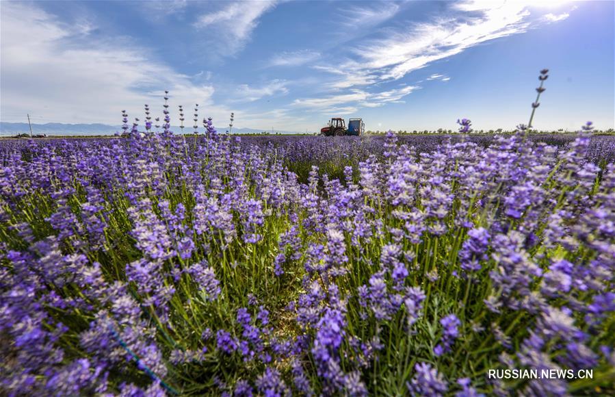 Прекрасные пейзажи Синьцзян-Уйгурского автономного района привлекают все больше туристов