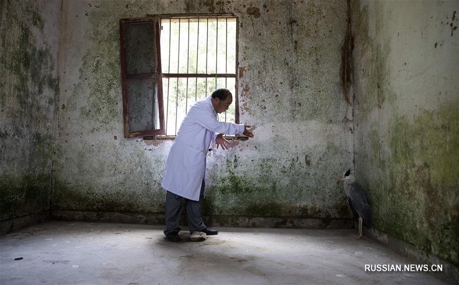 73-летний "птичий доктор" из провинции Цзянси