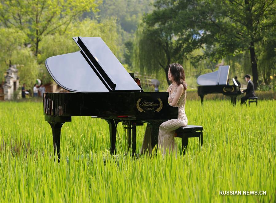 Концерт пианистов на горах и в полях ландшафтного парка "Улинъюань"