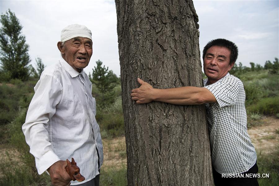 Городской округ Юйлинь в провинции Шэньси смог остановить опустынивание