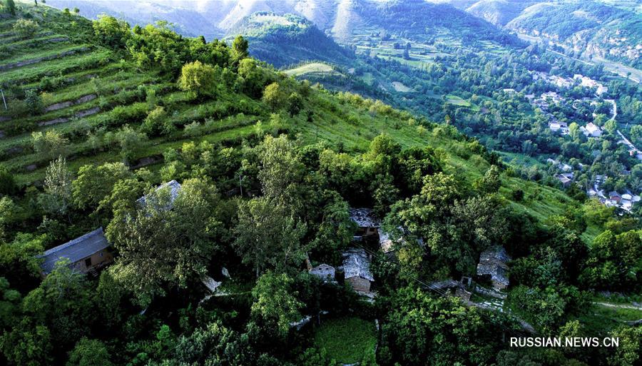 Дацзылян -- архаичное селение с каменными домами в горах Циньлин