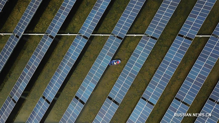 Двойное использование озера Баоинху в провинции Цзянсу помогает увеличить прибыль