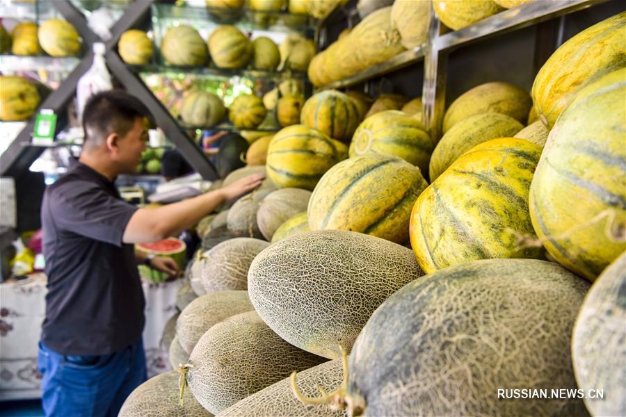 В Синьцзяне созрел свежий урожай плодовых культур