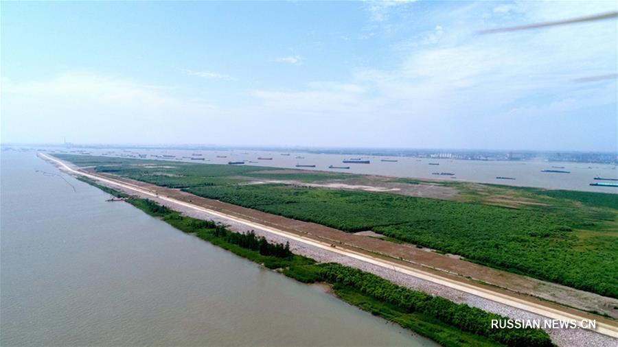 В Тайсине создается экологический коридор вдоль реки Янцзы 