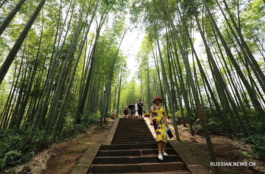 Туристы погуляются в лесопарке в городе Чишуй пров. Гуйчжоу