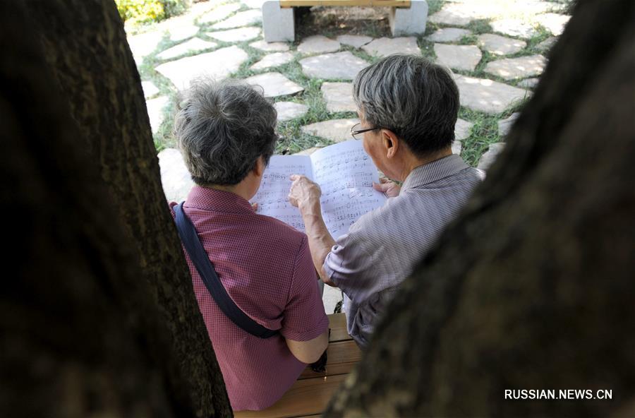 Увлеченная музыкой пожилая пара из провинции Хунань