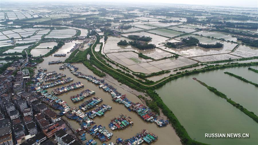 Провинция Гуандун прилагает все силы для защиты от тайфуна "Бебинка"