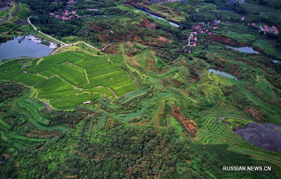 Рекультивация земель и озеленение бывших рудников в провинции Хэбэй