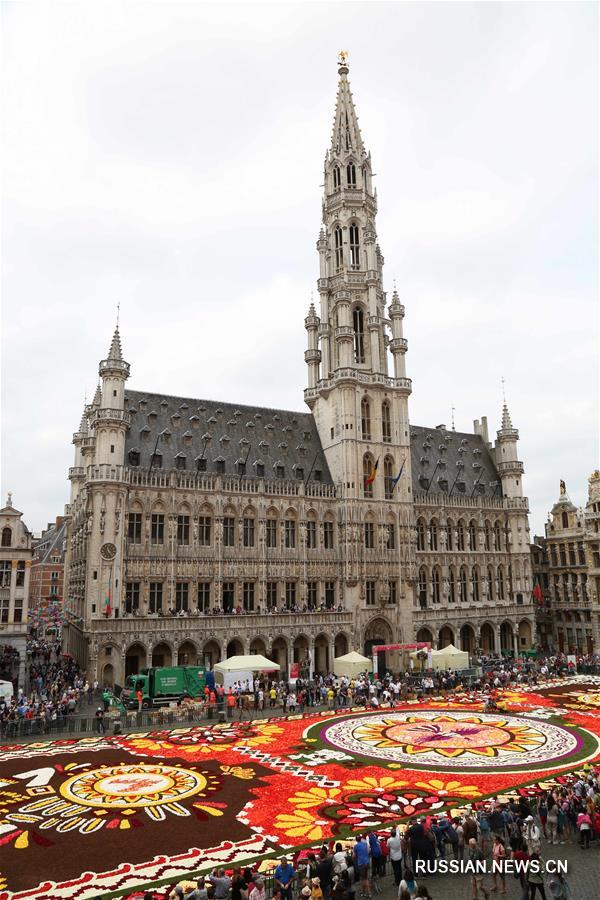 Цветочный ковер из полумиллиона бегоний украсил главную площадь Брюсселя 