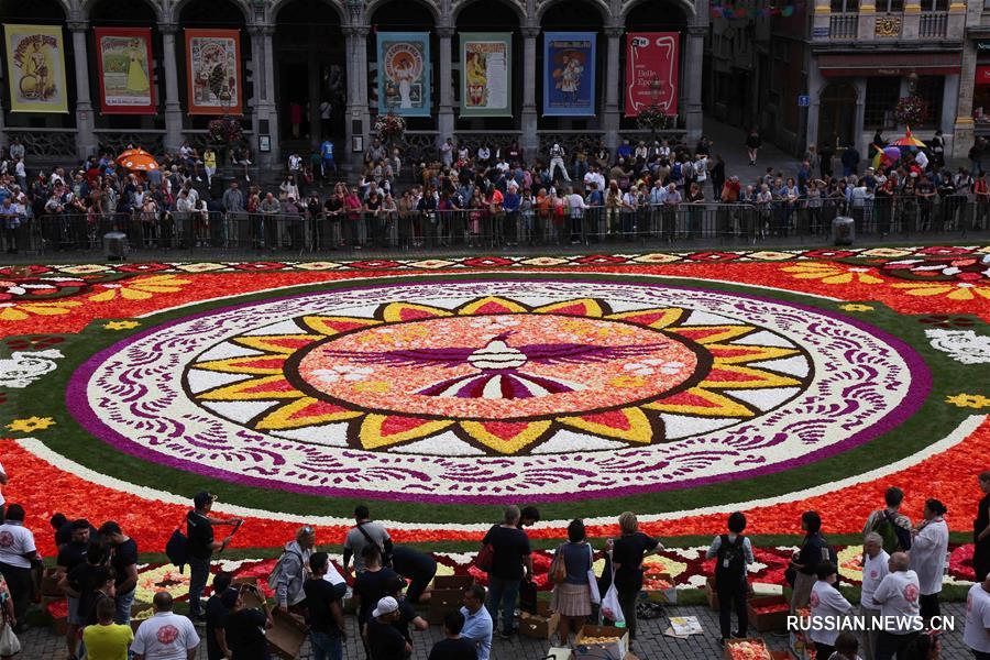 Цветочный ковер из полумиллиона бегоний украсил главную площадь Брюсселя 