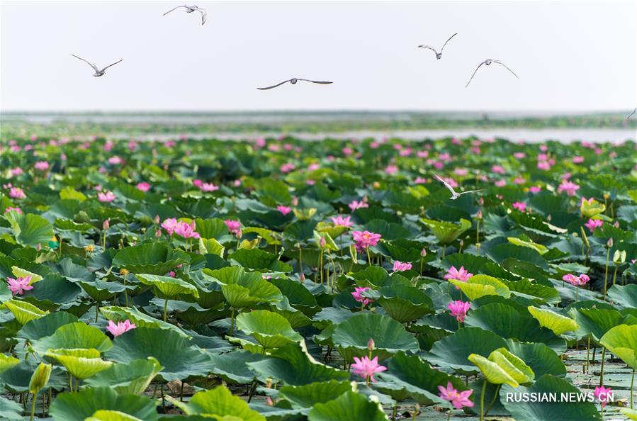 Живописные виды озера Хунху