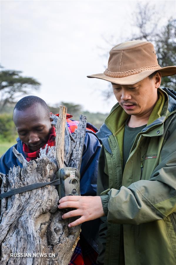 Китаец, посвятивший жизнь защите диких африканских животных
