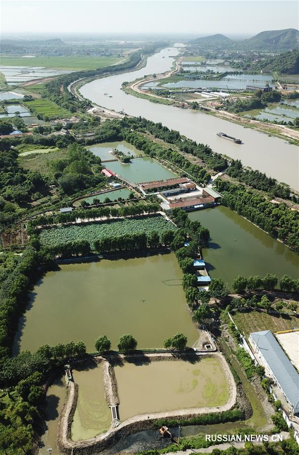 Проект биоочистки отработанных рыбоводных прудов в Хучжоу