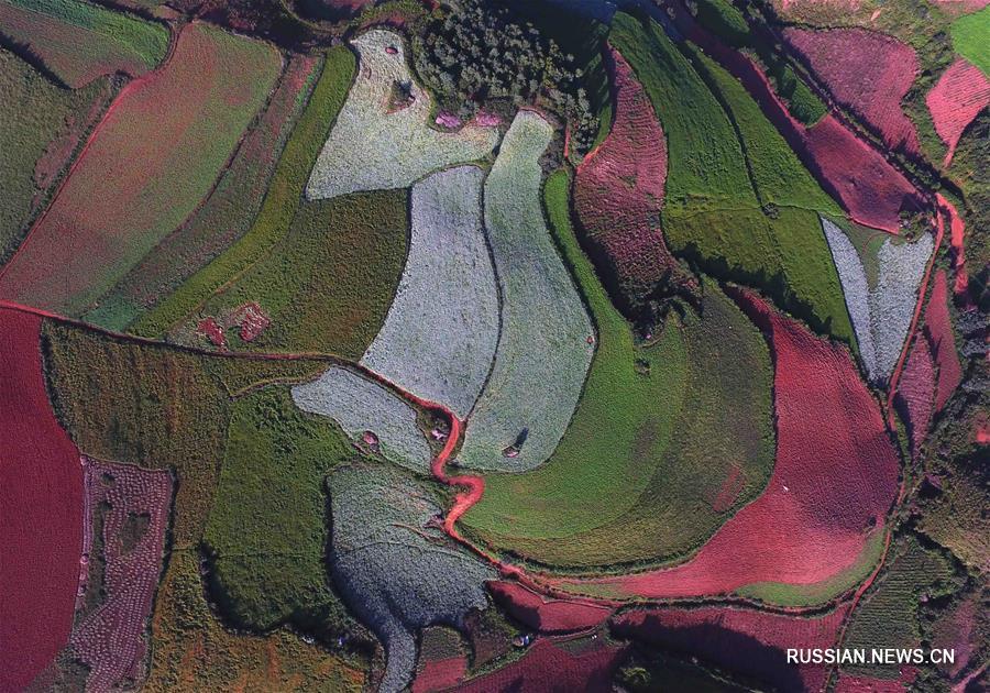 Разноцветные красноземные поля в провинции Юньнань