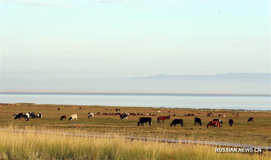 Баликуньская степь в осенний сезон