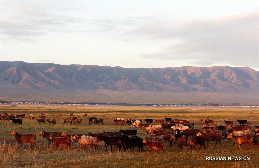 Баликуньская степь в осенний сезон
