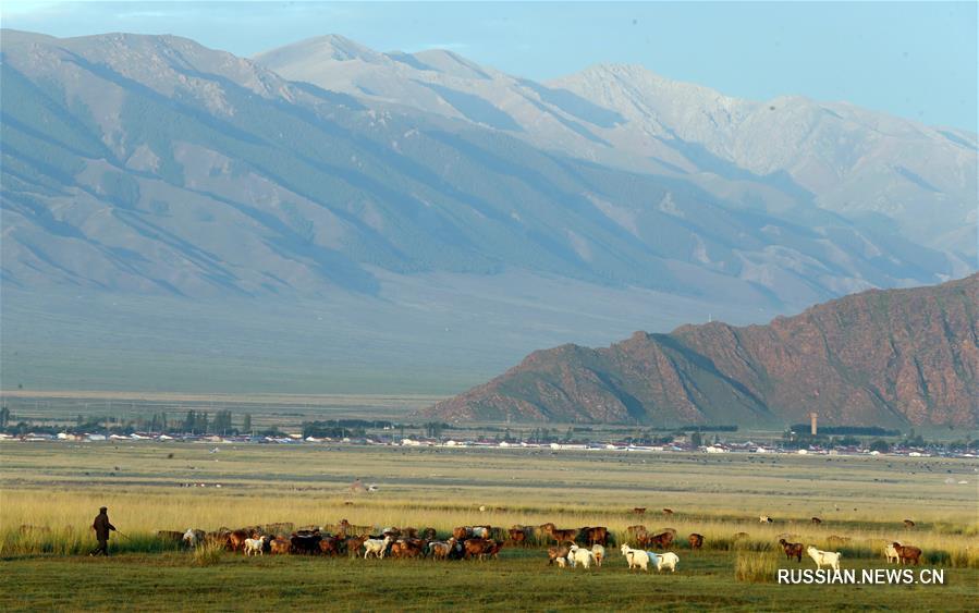 Баликуньская степь в осенний сезон