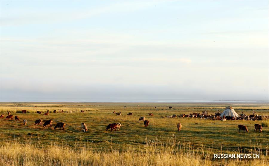 Баликуньская степь в осенний сезон