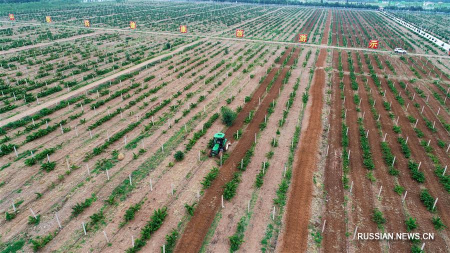 Нинся-Хуэйский АР: картины сельского процветания через 60 лет упорного труда