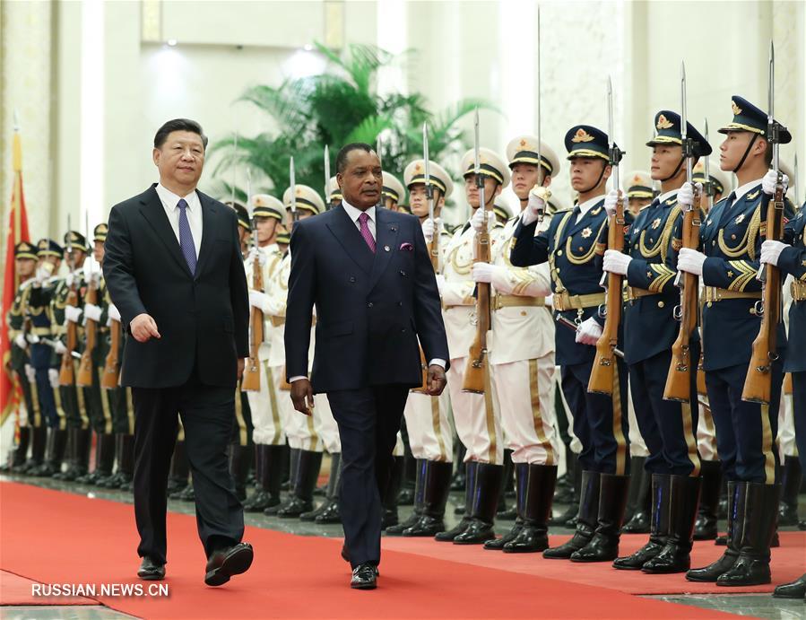 （中非合作论坛）（2）习近平同刚果共和国总统萨苏举行会谈