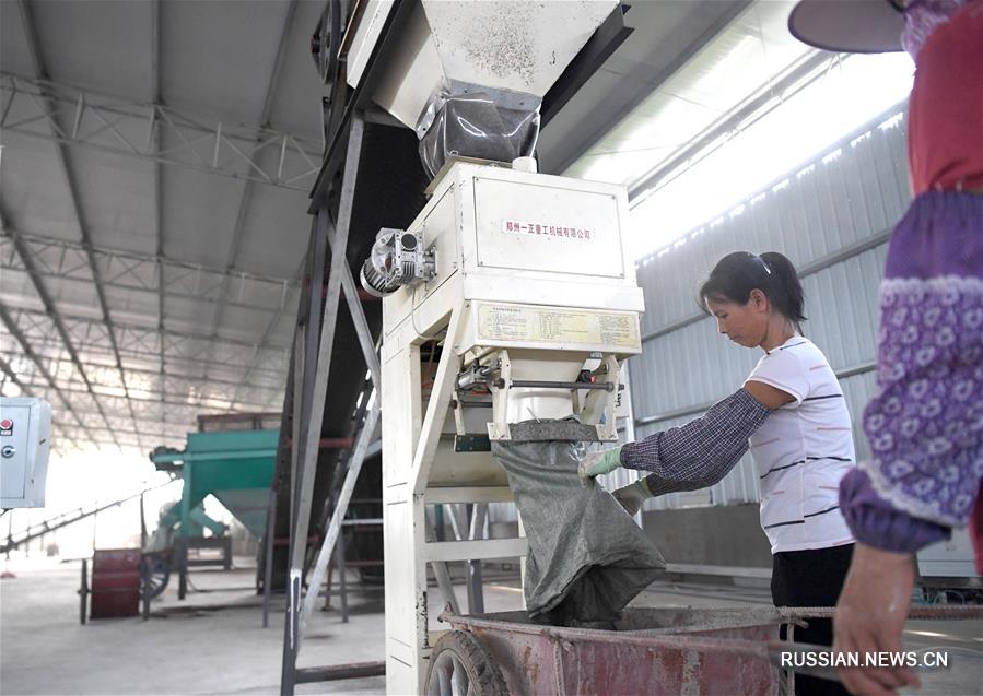 Циклическое производство помогает победить бедность в уезде Нинмин