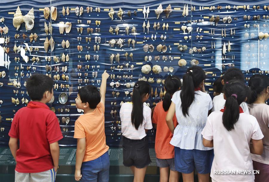 В начальной школе в провинции Чжэцзян открылся отдел раковин Китайского музея водно-болотных угодий 
