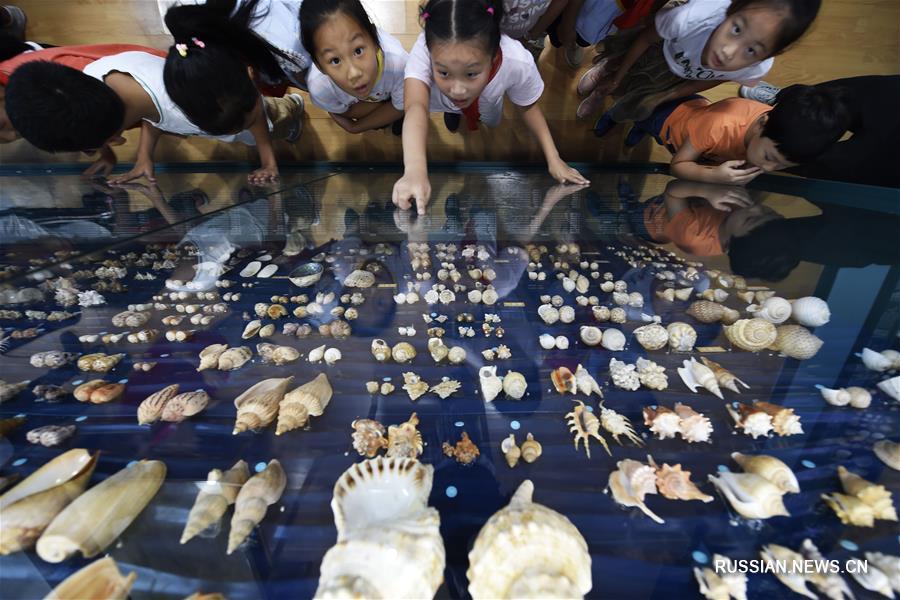 В начальной школе в провинции Чжэцзян открылся отдел раковин Китайского музея водно-болотных угодий