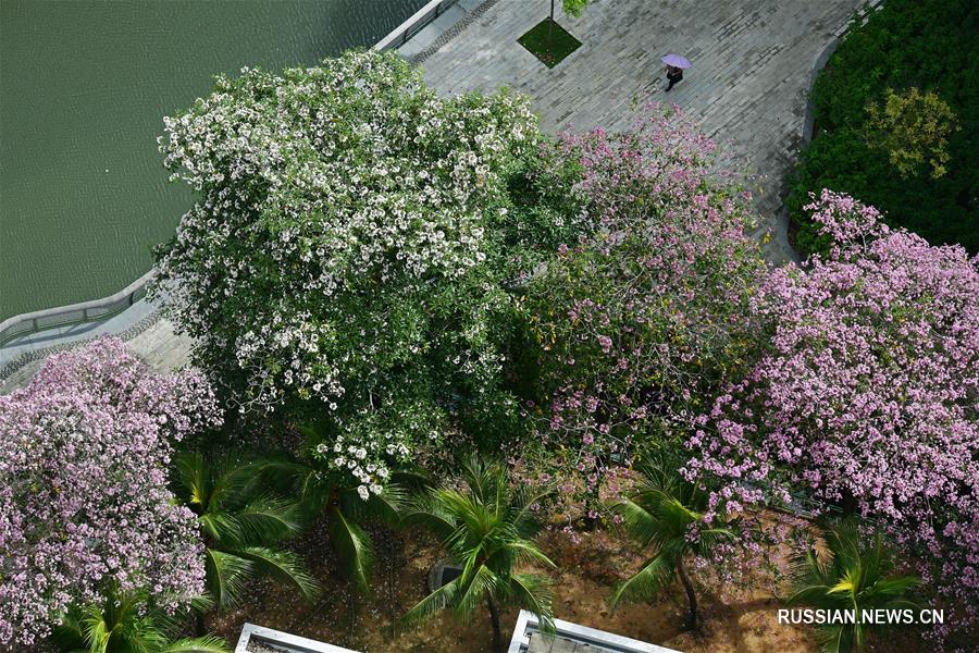 Сингапур утопает в море цветов