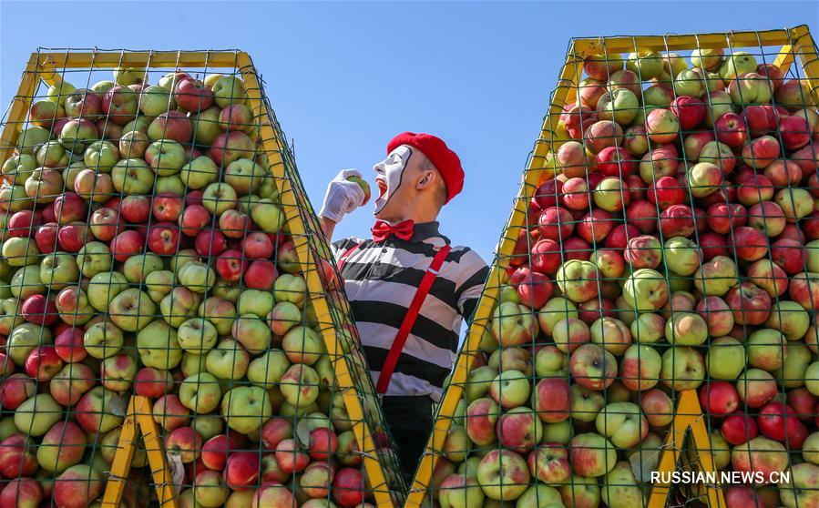 В Алматы прошел Фестиваль яблок