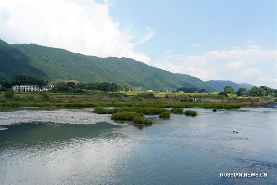 Фермеры из города Люян в Хунани растят лучший рис на воде из горных источников