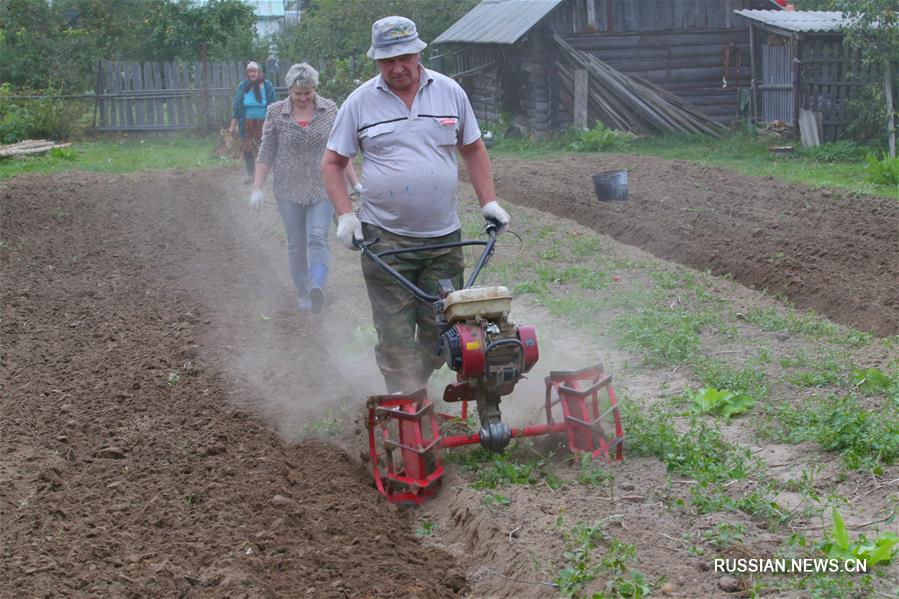 Осенние работы на земле в белорусской деревне