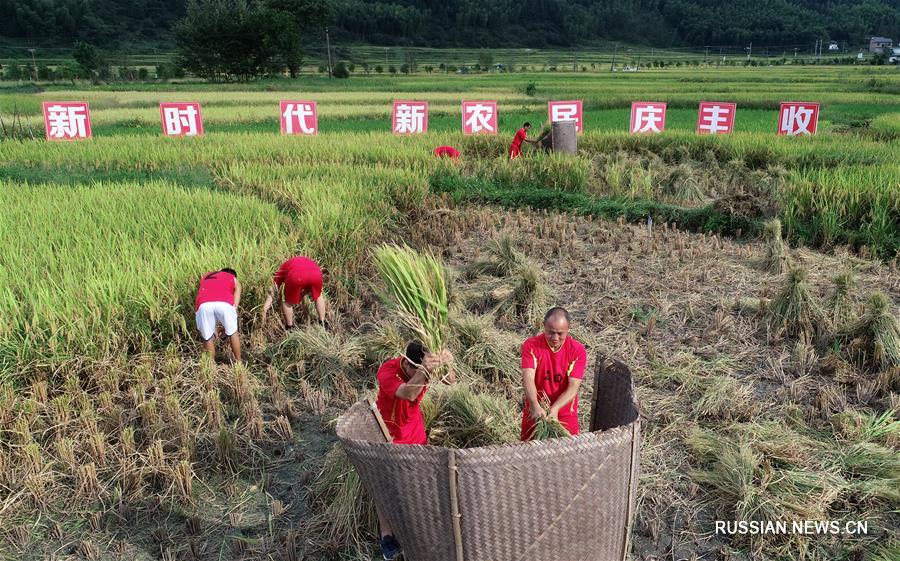 Праздник урожая приходит в Китай