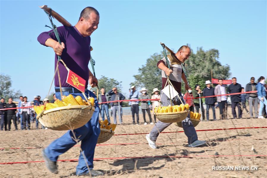 В районе Ганьчжоу города Чжанъе на северо-западе Китая китайские фермеры отметили 1-й Праздник богатого урожая 