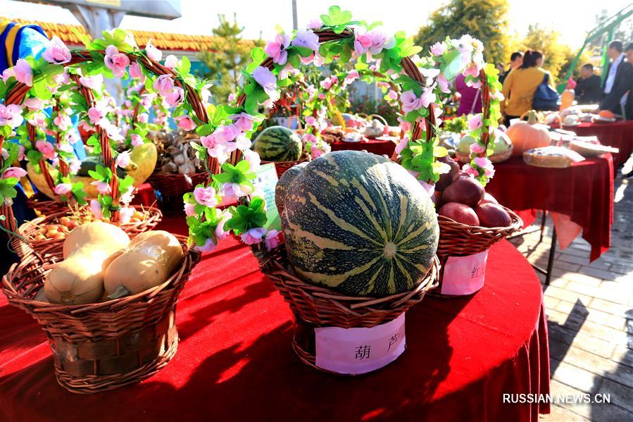 В районе Ганьчжоу города Чжанъе на северо-западе Китая китайские фермеры отметили 1-й Праздник богатого урожая 