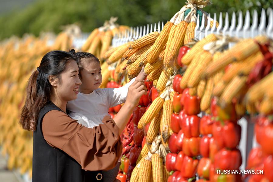 В провинции Хэбэй встречают первый День урожая