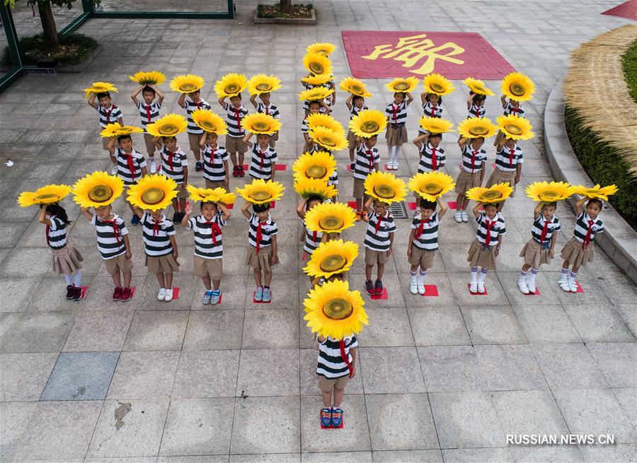 "Первое зернышко нового урожая" для школьников в Ханчжоу 