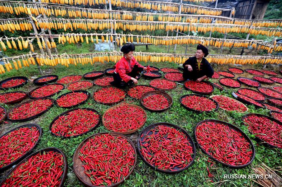 День урожая отметили по всему Китаю 