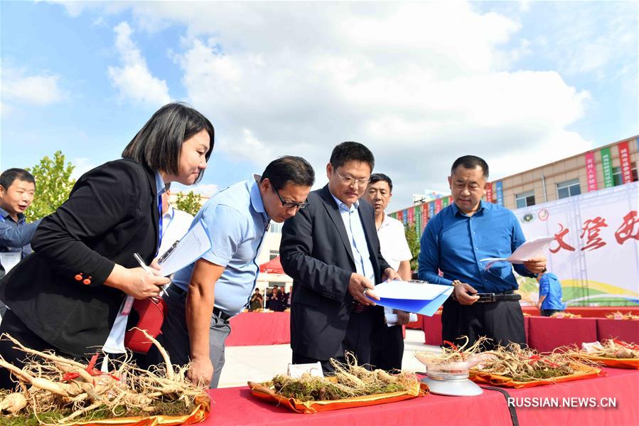 В провинции Шаньдун выбирали "царя женьшеня"