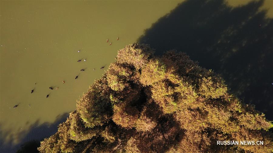 Захватывающие осенние красоты города Янчжоу на востоке Китая