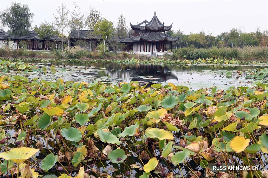 В Тяньцзине построен крупнейший городской парк